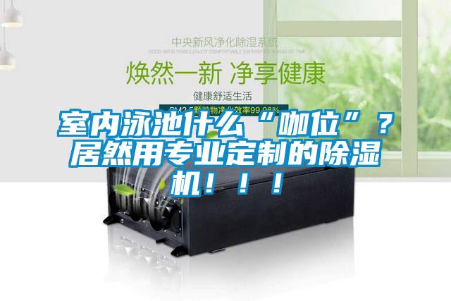 室內(nèi)泳池什么“咖位”？居然用專業(yè)定制的除濕機?。。?/></p>
						    <p style=