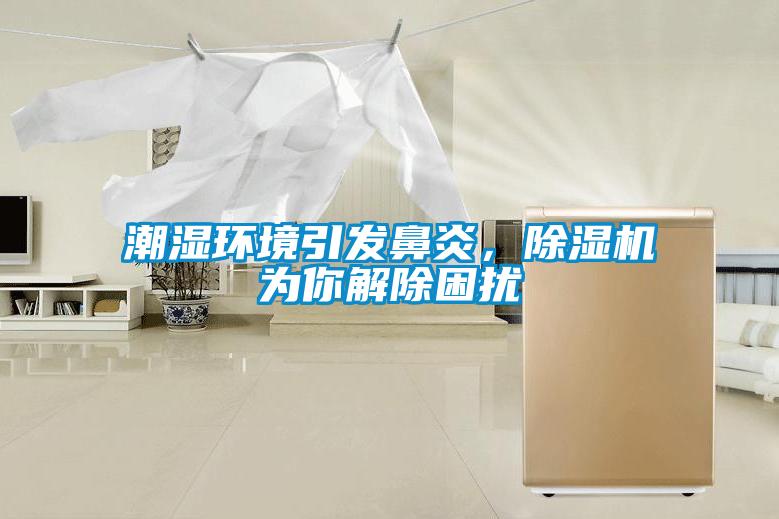 潮濕環境引發鼻炎，除濕機為你解除困擾