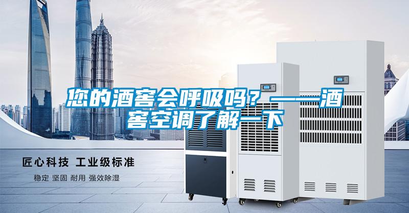 您的酒窖會呼吸嗎？——酒窖空調了解一下
