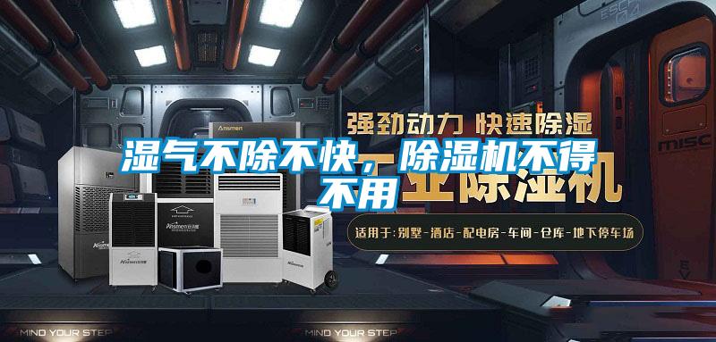 濕氣不除不快，除濕機不得不用