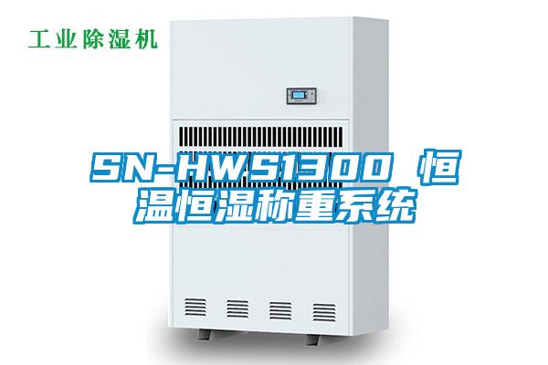 SN-HWS1300 恒溫恒濕稱重系統