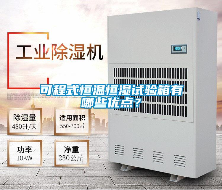 可程式恒溫恒濕試驗(yàn)箱有哪些優(yōu)點(diǎn)?