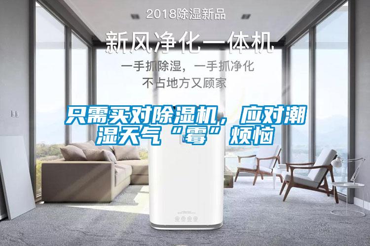 只需買對除濕機,應對潮濕天氣“霉”煩惱