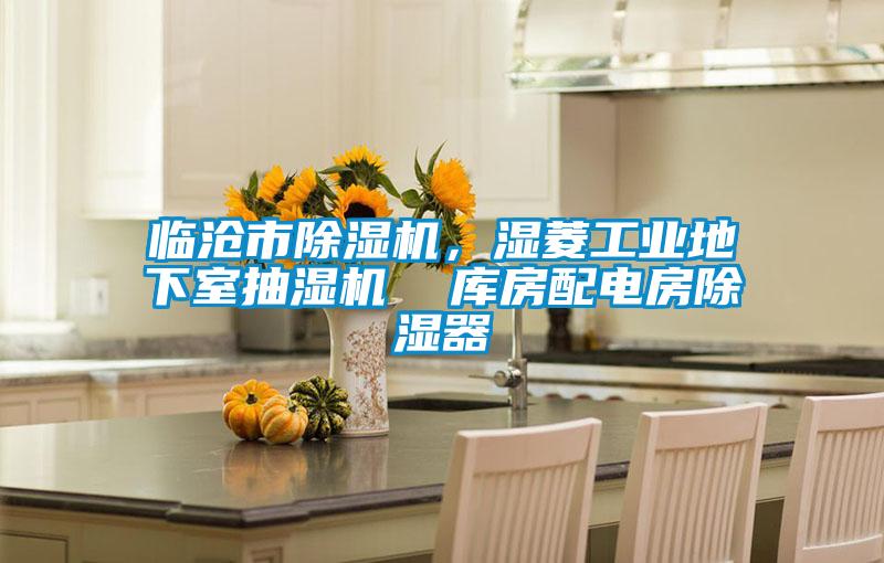 臨滄市除濕機(jī)，濕菱工業(yè)地下室抽濕機(jī)  庫(kù)房配電房除濕器