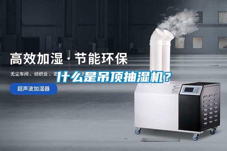 什么是吊頂抽濕機？