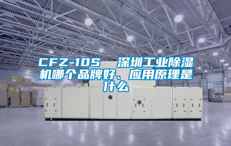 CFZ-10S  深圳工業(yè)除濕機哪個品牌好、應(yīng)用原理是什么