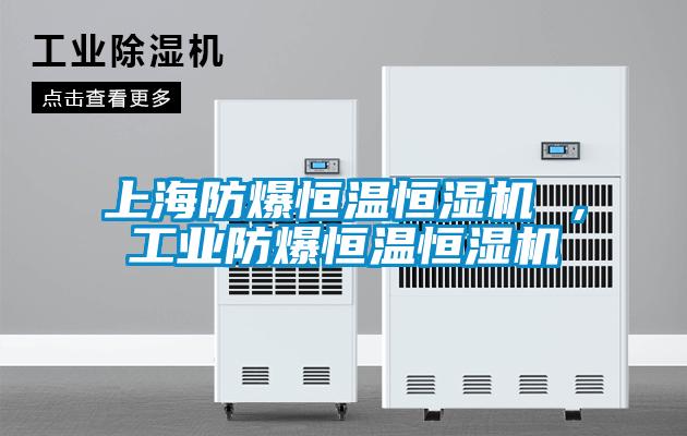 上海防爆恒溫恒濕機(jī) ，工業(yè)防爆恒溫恒濕機(jī)