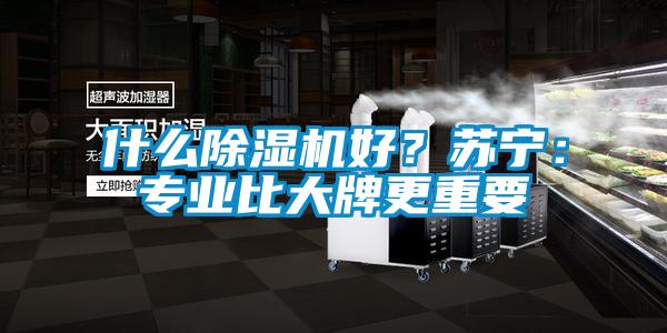 什么除濕機好？蘇寧：專業(yè)比大牌更重要