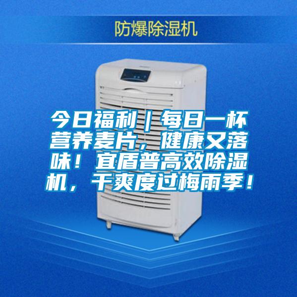 今日福利｜每日一杯營養(yǎng)麥片，健康又落味！宜盾普高效除濕機，干爽度過梅雨季！