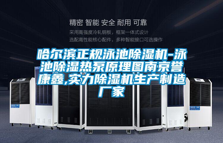 哈爾濱正規(guī)泳池除濕機-泳池除濕熱泵原理圖南京譽康鑫,實力除濕機生產(chǎn)制造廠家