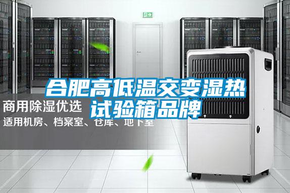 合肥高低溫交變濕熱試驗(yàn)箱品牌