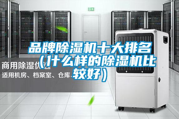 品牌除濕機十大排名(什么樣的除濕機比較好)