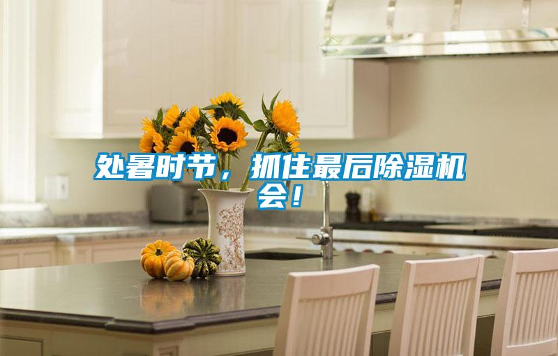 處暑時節，抓住最后除濕機會！