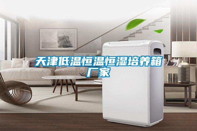 天津低溫恒溫恒濕培養箱廠家
