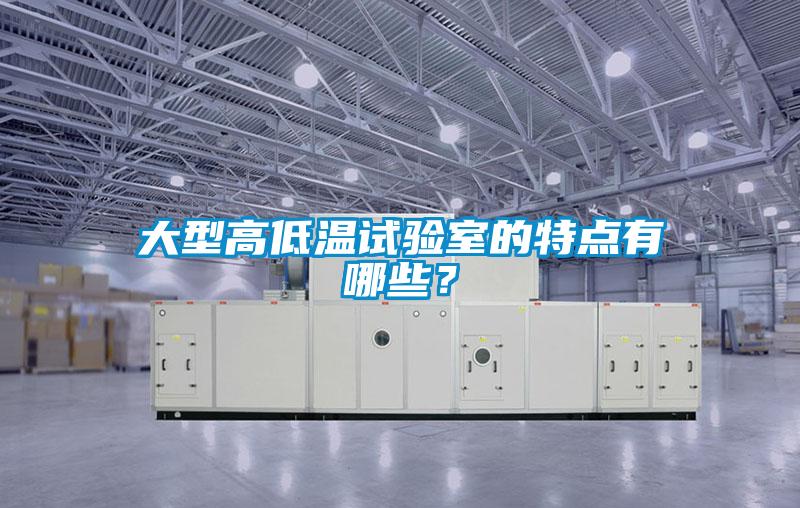 大型高低溫試驗(yàn)室的特點(diǎn)有哪些？