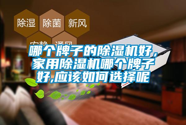 哪個牌子的除濕機好,家用除濕機哪個牌子好,應該如何選擇呢