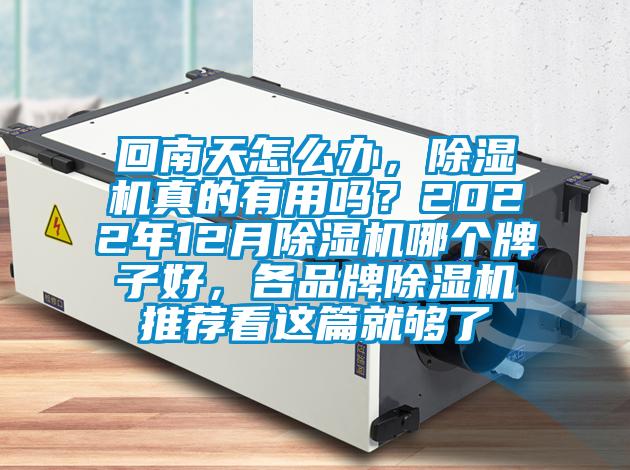 回南天怎么辦，除濕機真的有用嗎？2022年12月除濕機哪個牌子好，各品牌除濕機推薦看這篇就夠了