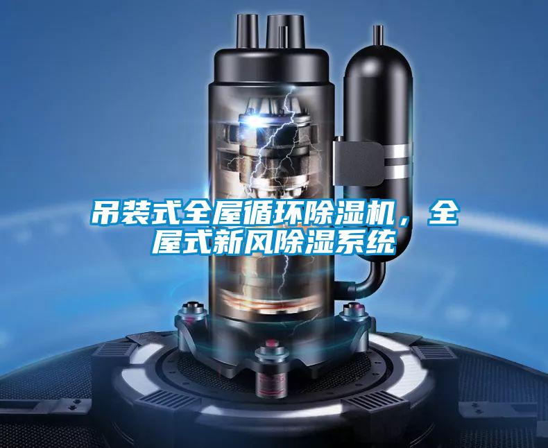 吊裝式全屋循環(huán)除濕機(jī)，全屋式新風(fēng)除濕系統(tǒng)