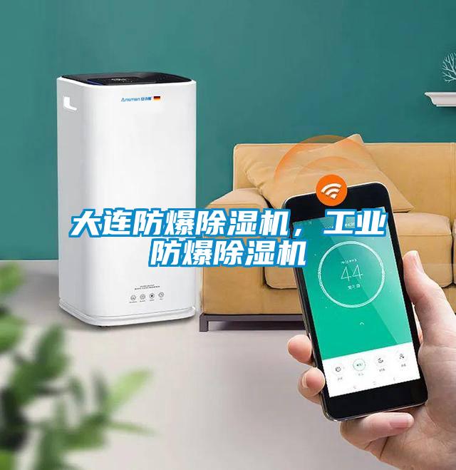 大連防爆除濕機，工業防爆除濕機