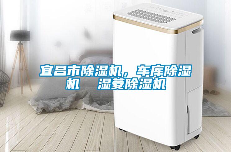 宜昌市除濕機(jī),車庫除濕機(jī) 濕菱除濕機(jī)