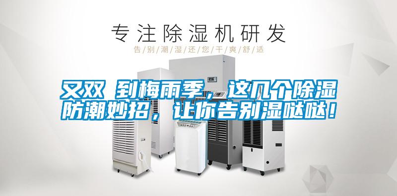 又雙叒到梅雨季，這幾個除濕防潮妙招，讓你告別濕噠噠！