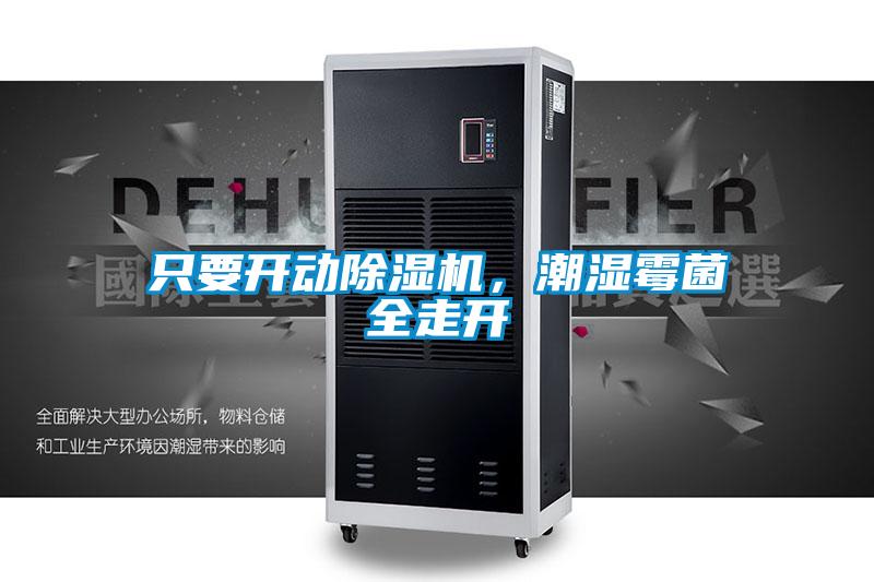 只要開動除濕機，潮濕霉菌全走開