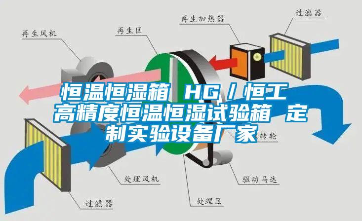 恒溫恒濕箱 HG/恒工 高精度恒溫恒濕試驗箱 定制實驗設備廠家