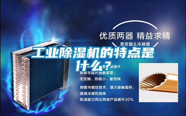 工業(yè)除濕機的特點是什么？