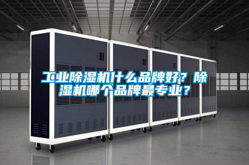 工業(yè)除濕機(jī)什么品牌好？除濕機(jī)哪個品牌最專業(yè)？