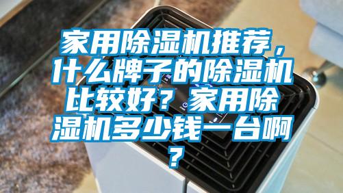 家用除濕機推薦，什么牌子的除濕機比較好？家用除濕機多少錢一臺啊？