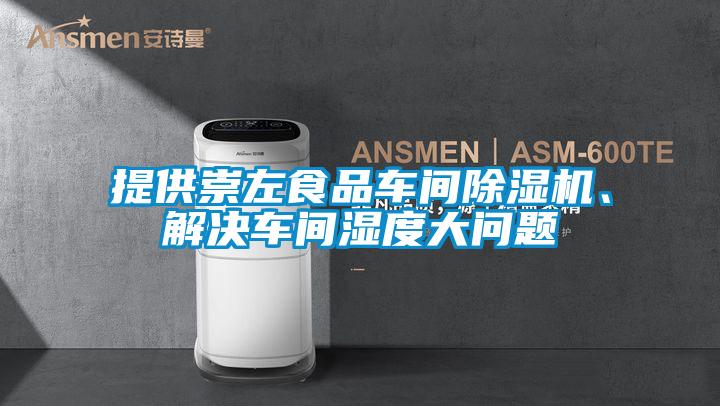 提供崇左食品車間除濕機、解決車間濕度大問題