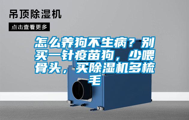 怎么養(yǎng)狗不生病？別買(mǎi)一針疫苗狗，少喂骨頭，買(mǎi)除濕機(jī)多梳毛