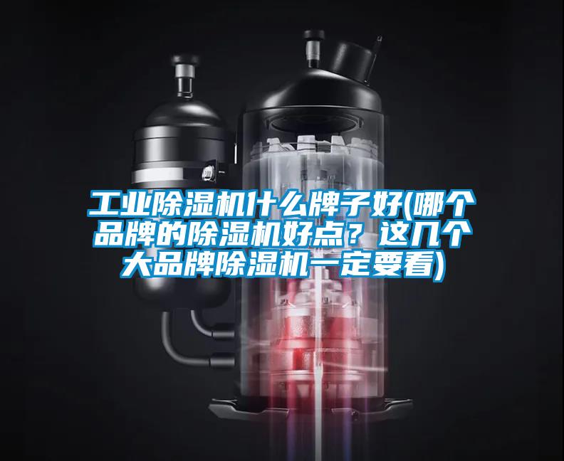 工業除濕機什么牌子好(哪個品牌的除濕機好點?這幾個大品牌除濕機一定要看)