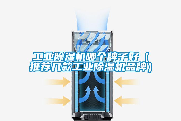 工業除濕機哪個牌子好（推薦幾款工業除濕機品牌）