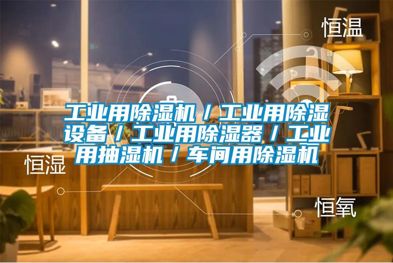 工業(yè)用除濕機(jī)/工業(yè)用除濕設(shè)備/工業(yè)用除濕器/工業(yè)用抽濕機(jī)/車間用除濕機(jī)
