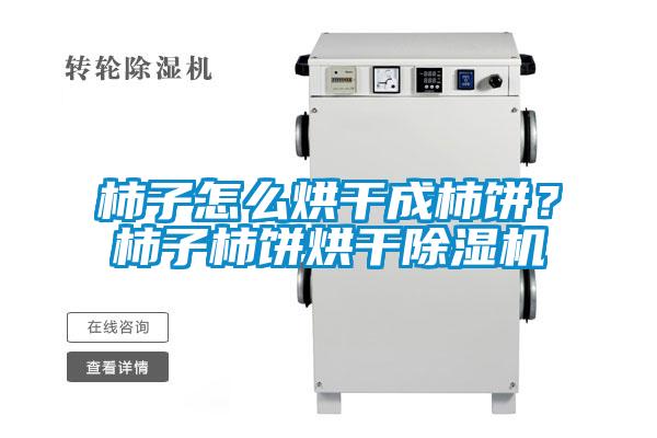 柿子怎么烘干成柿餅？柿子柿餅烘干除濕機