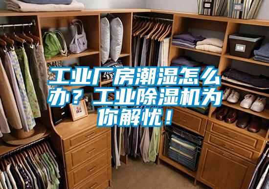 工業廠房潮濕怎么辦？工業除濕機為你解憂！