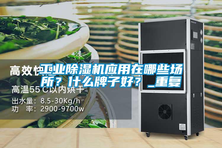 工業(yè)除濕機(jī)應(yīng)用在哪些場所？什么牌子好？_重復(fù)