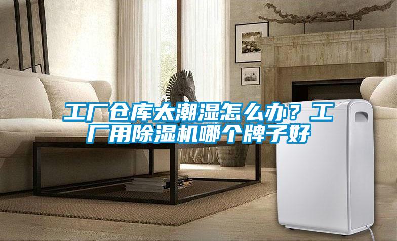 工廠倉庫太潮濕怎么辦？工廠用除濕機哪個牌子好