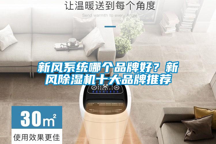 新風系統哪個品牌好？新風除濕機十大品牌推薦