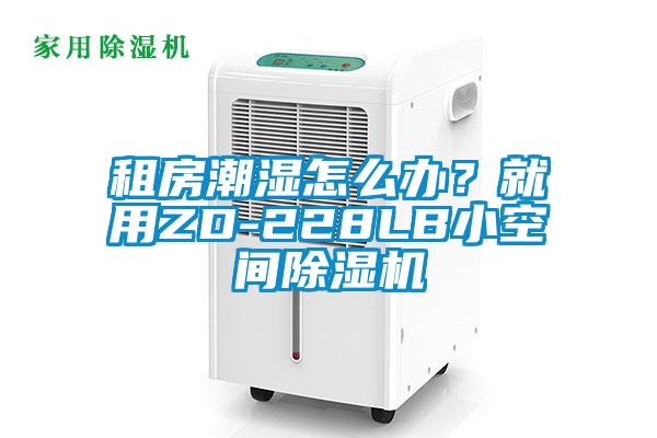 租房潮濕怎么辦？就用ZD-228LB小空間除濕機