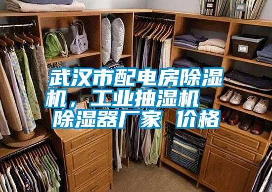 武漢市配電房除濕機，工業抽濕機  除濕器廠家 價格