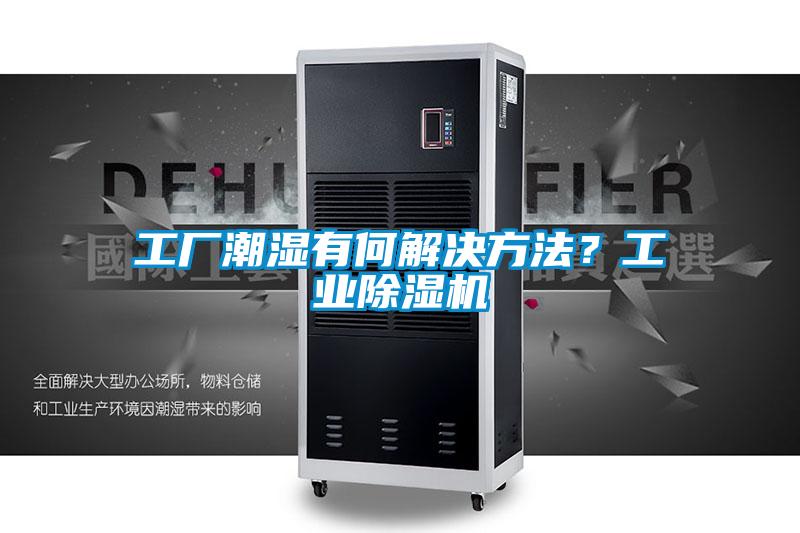 工廠潮濕有何解決方法？工業除濕機
