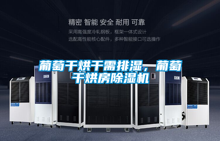 葡萄干烘干需排濕，葡萄干烘房除濕機(jī)