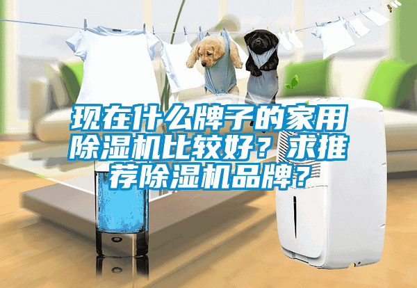 現在什么牌子的家用除濕機比較好？求推薦除濕機品牌？