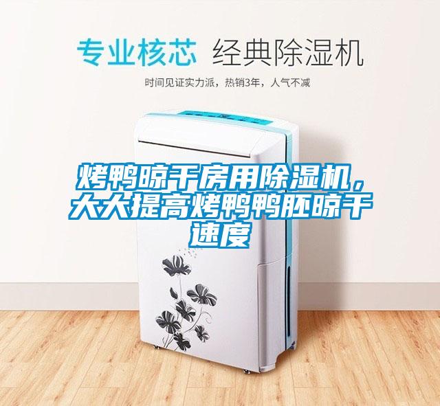 烤鴨晾干房用除濕機，大大提高烤鴨鴨胚晾干速度