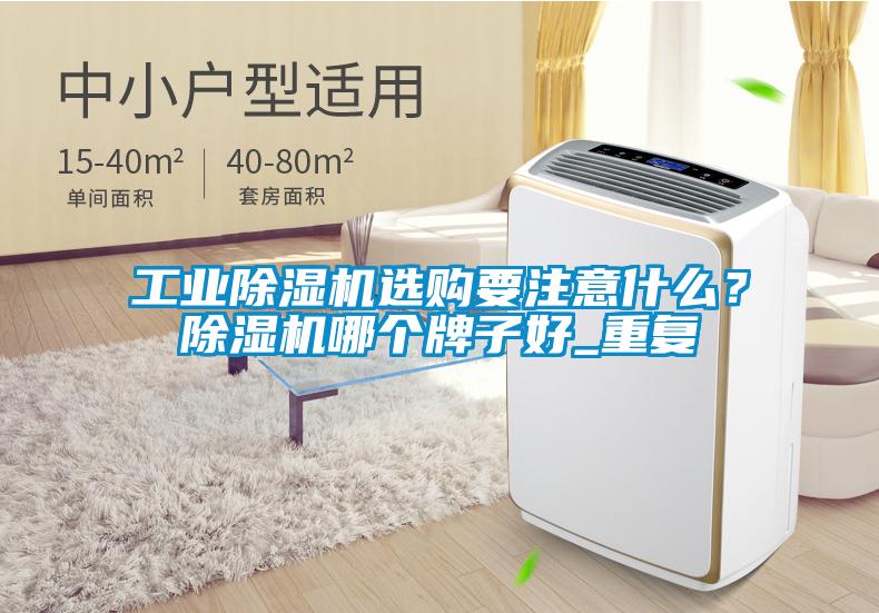 工業除濕機選購要注意什么？除濕機哪個牌子好_重復