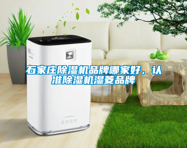 石家莊除濕機品牌哪家好，認(rèn)準(zhǔn)除濕機濕菱品牌