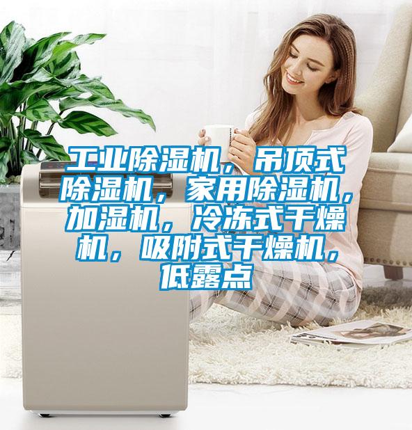 工業(yè)除濕機(jī)，吊頂式除濕機(jī)，家用除濕機(jī)，加濕機(jī)，冷凍式干燥機(jī)，吸附式干燥機(jī)，低露點(diǎn)