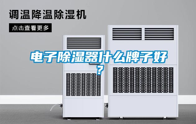 電子除濕器什么牌子好?